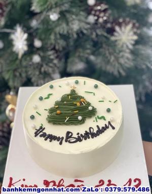 Bánh Kem Noel Giáng Sinh 21